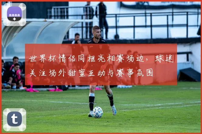 世界杯情侣同框亮相赛场边，球迷关注场外甜蜜互动与赛事氛围