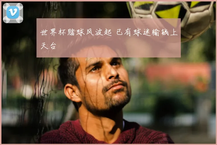 世界杯赌球风波起 已有球迷输钱上天台